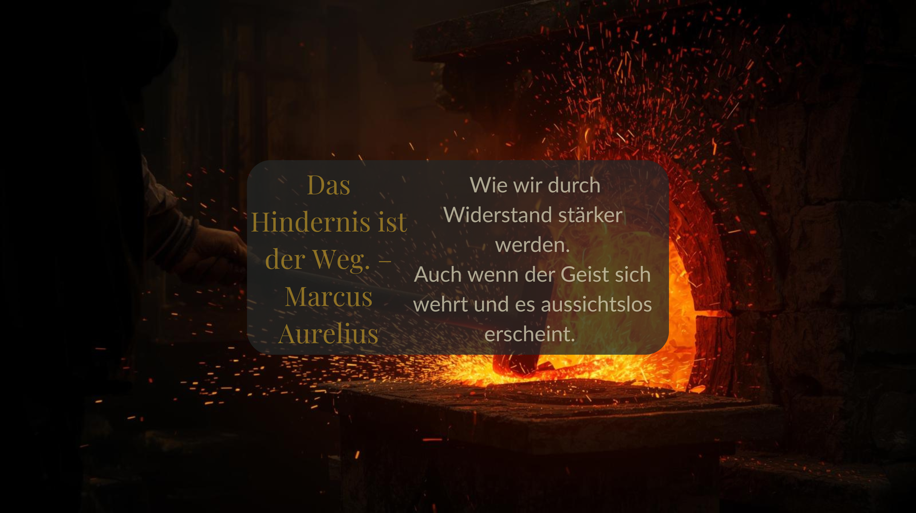 Stoische Reflexion: Was diese Woche uns gelehrt hat