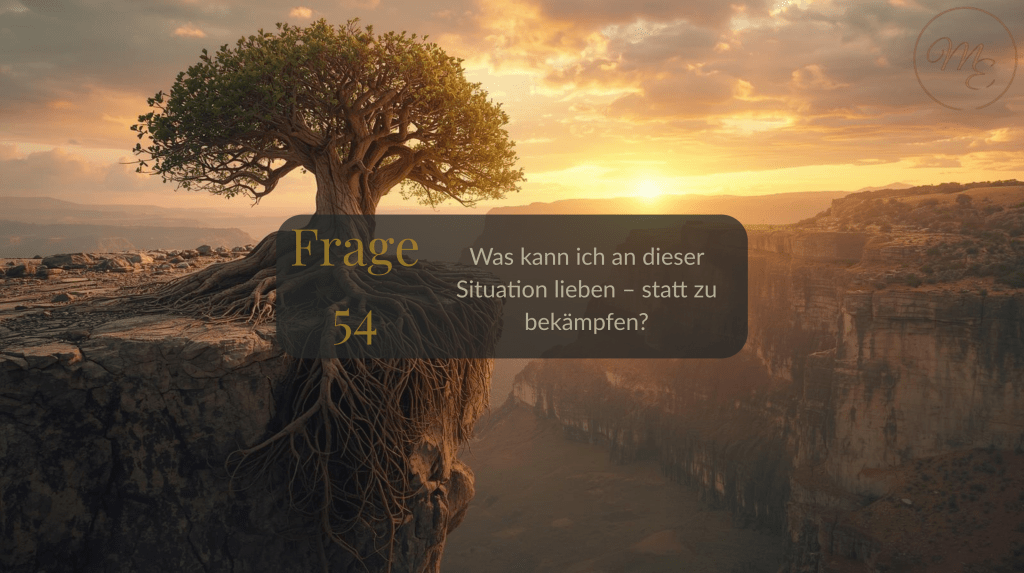 Frage 54 – Was kann ich an dieser Situation lieben – statt zu&nbsp;bekämpfen?