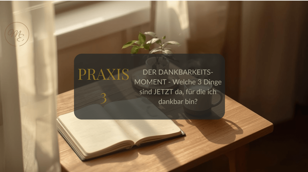 PRAXIS 3: DER DANKBARKEITS-MOMENT