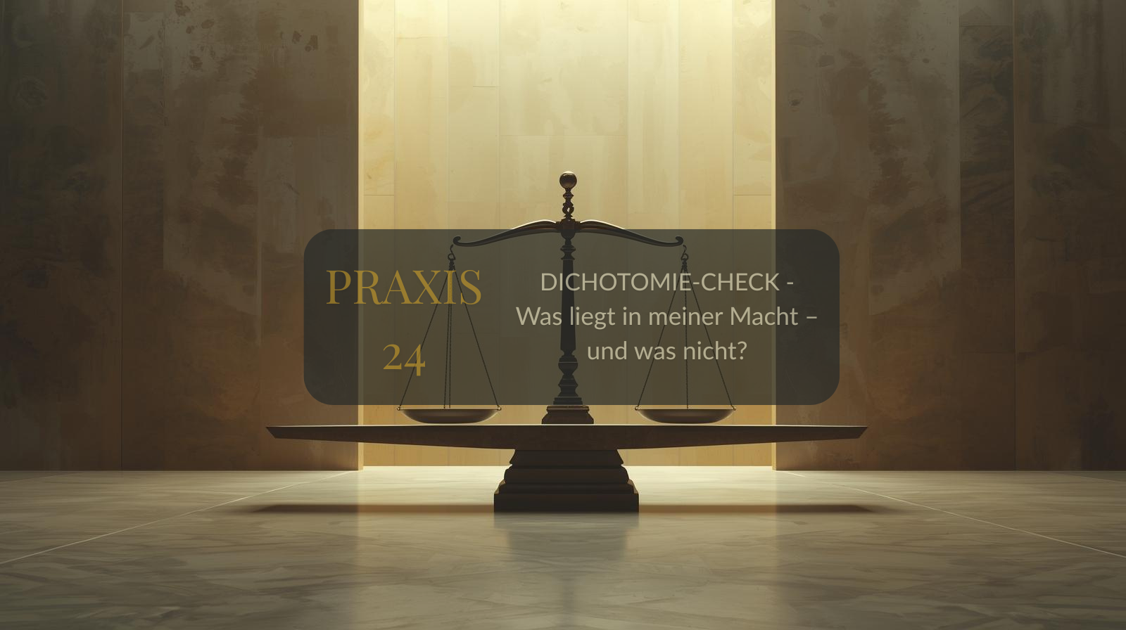 Praxis 24: Dichotomie-Check