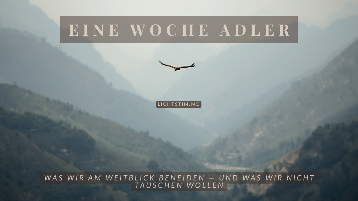 Eine Woche Adler — und was der Weitblick über uns verrät